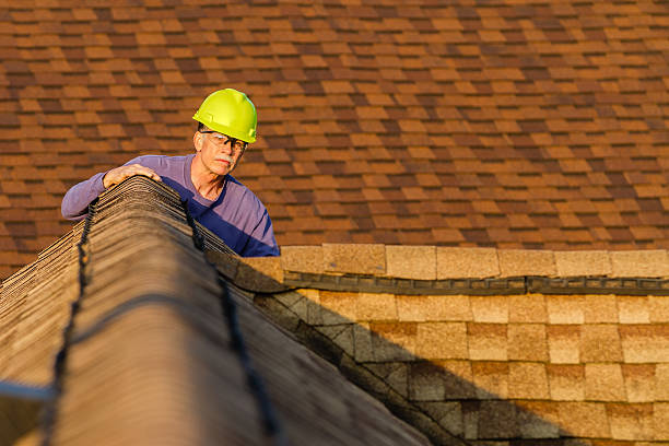 Best Storm Damage Roof Repair  in Belleair Bluffs, FL